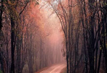 九游登录-斯特拉斯堡客场绝杀对手，法甲比赛惊心动魄的简单介绍